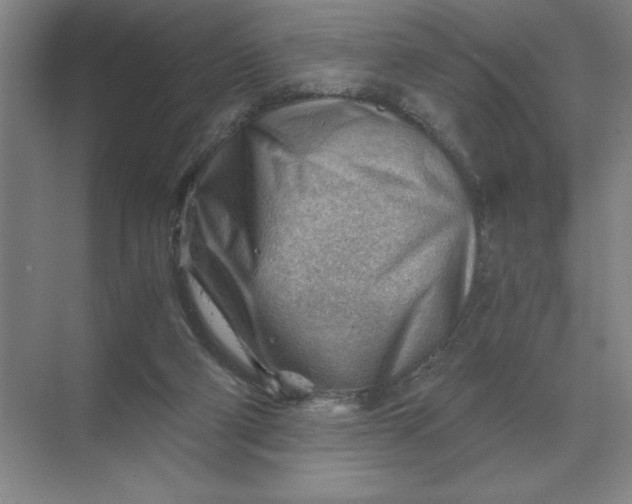 X0000068830114200605191909