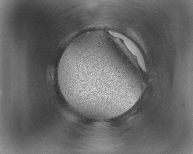 X0000068830115200605191909