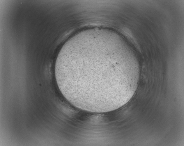 X0000068830116200605191909