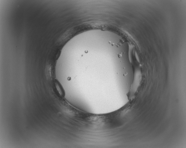 X0000068830117200605191909