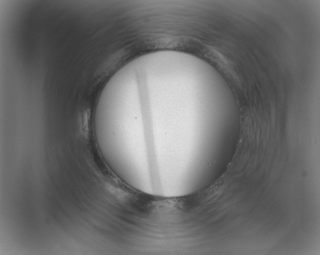 X0000068830118200605191909