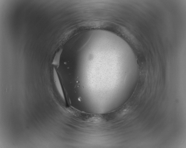 X0000068830119200605191909