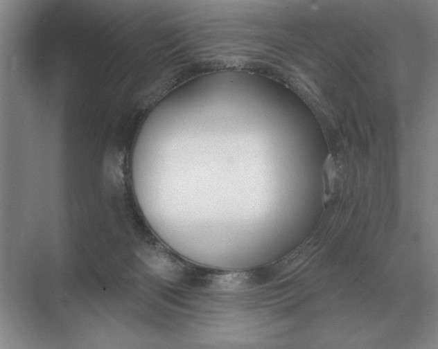 X0000068830122200605191909