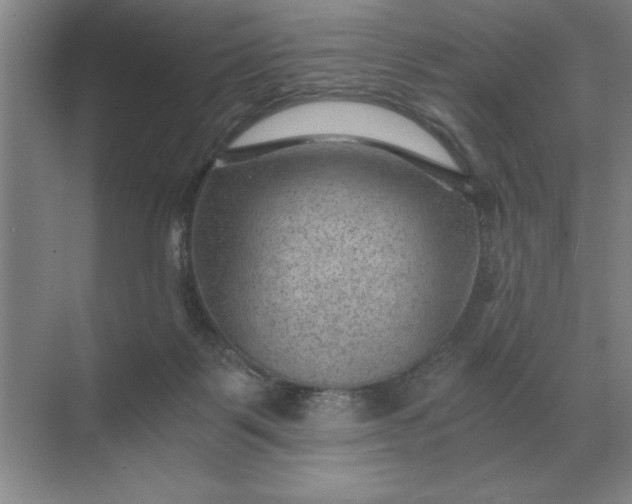 X0000068830123200605191909