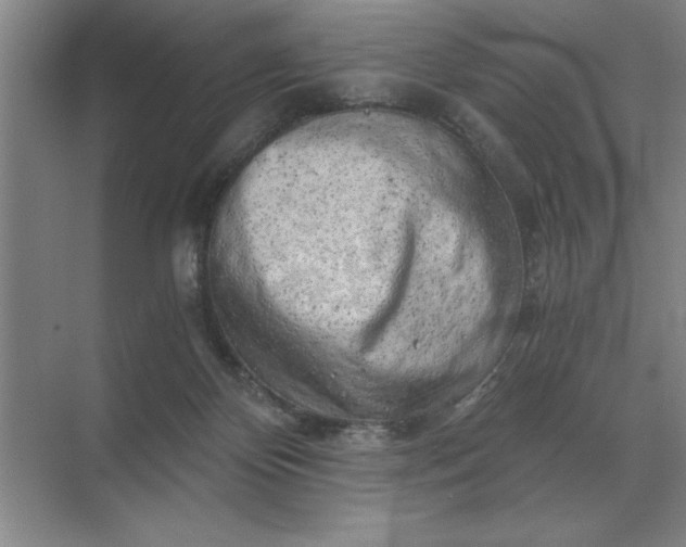 X0000068830124200605191909