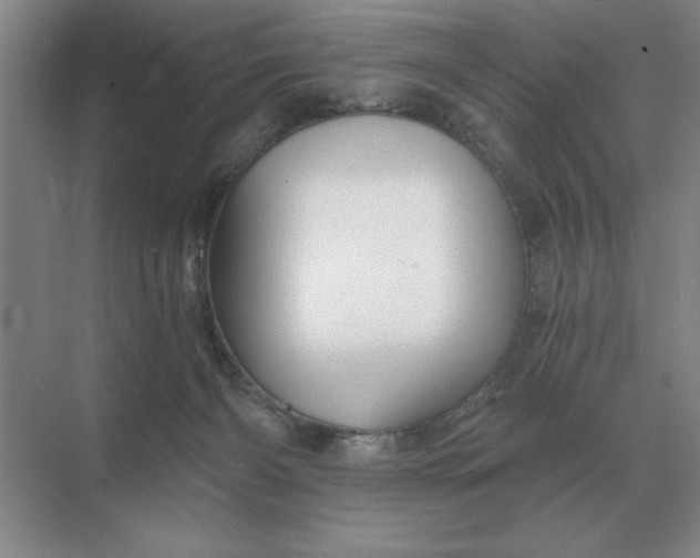 X0000068830126200605191909