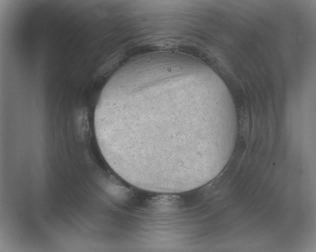 X0000068830128200605191909