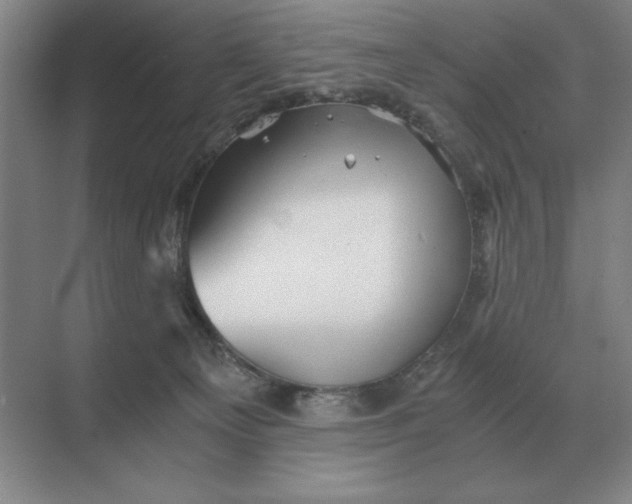 X0000068830129200605191909