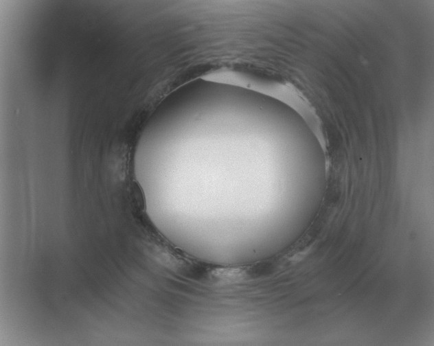 X0000068830133200605191909