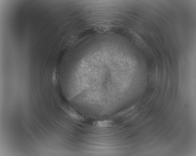 X0000068830134200605191909