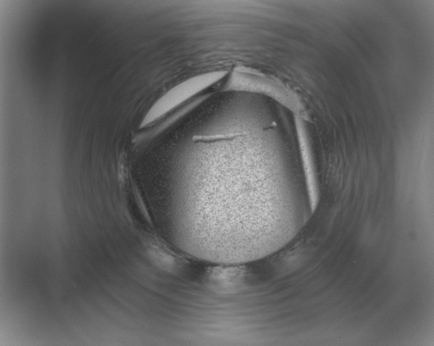 X0000068830135200605191909