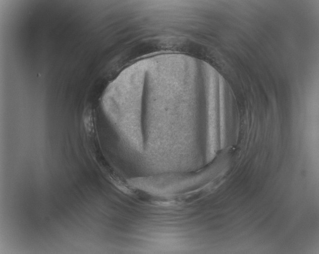 X0000068830137200605191909