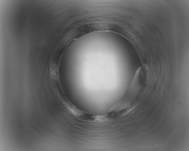 X0000068830141200605191908