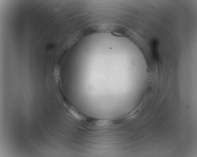 X0000068830142200605191908