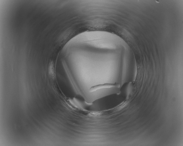 X0000068830143200605191908