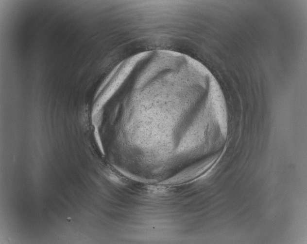 X0000068830144200605191908