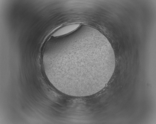 X0000068830146200605191908