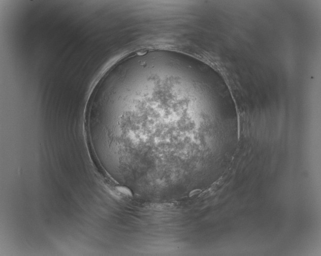 X0000068830147200605191908