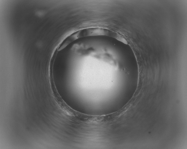 X0000068830148200605191908