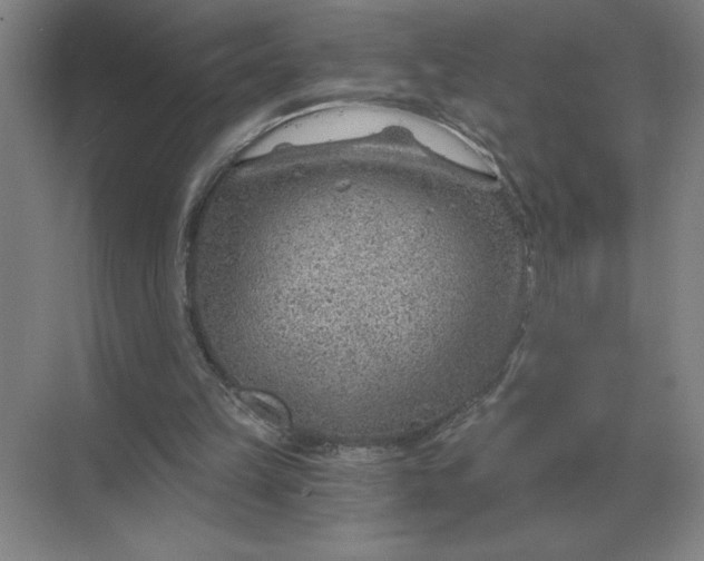 X0000068830149200605191908