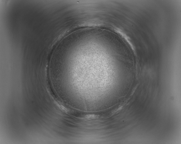 X0000068830153200605191908