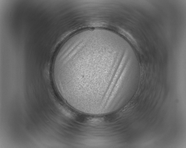 X0000068830155200605191908