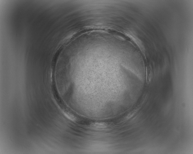 X0000068830157200605191908