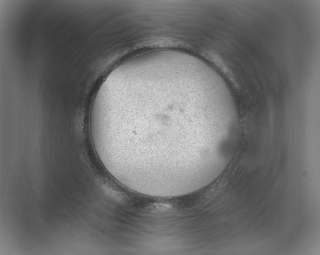 X0000068830159200605191908