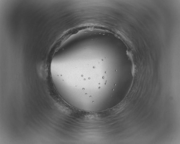 X0000068830160200605191908