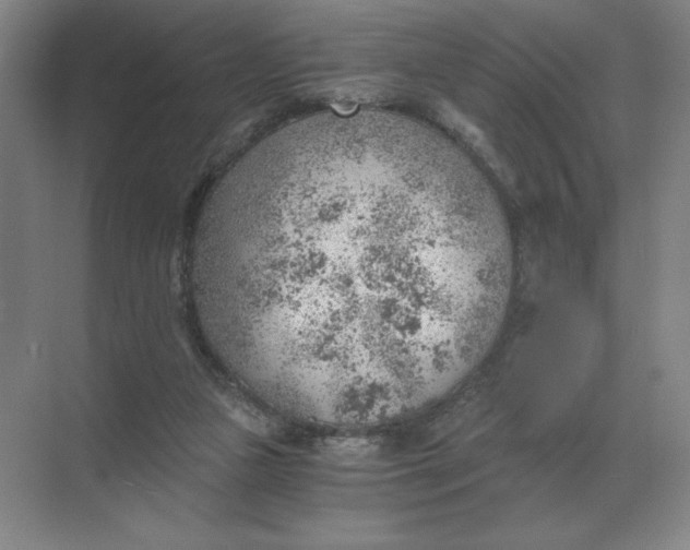 X0000068830161200605191908