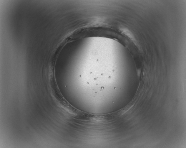 X0000068830164200605191908