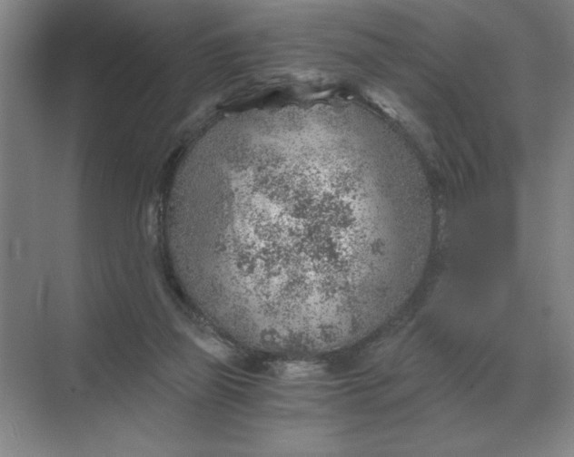 X0000068830165200605191908