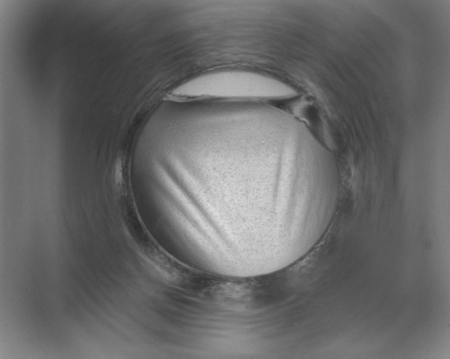 X0000068830166200605191908