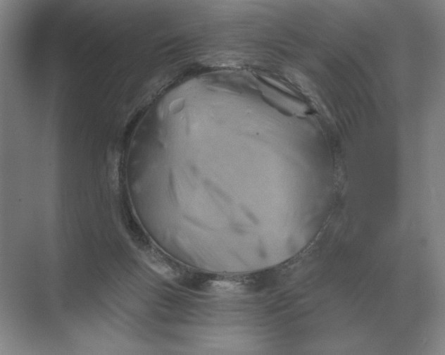 X0000068830167200605191908