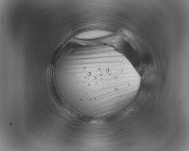 X0000068830168200605191908