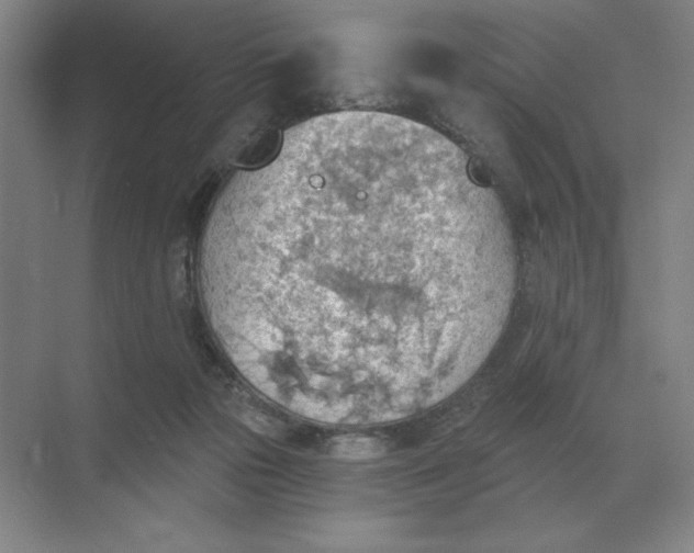 X0000068830169200605191908