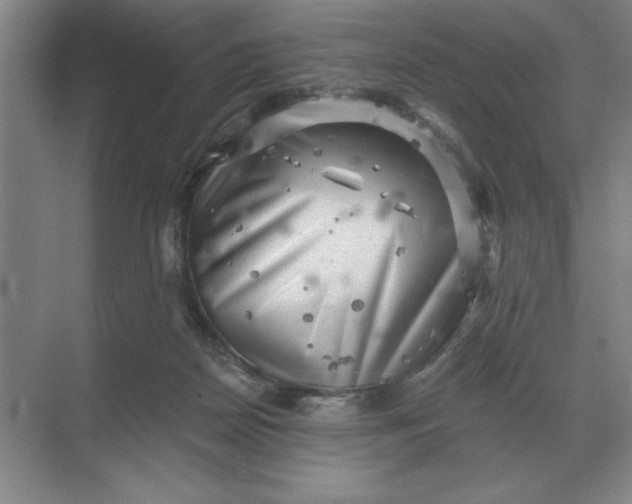 X0000068830170200605191908