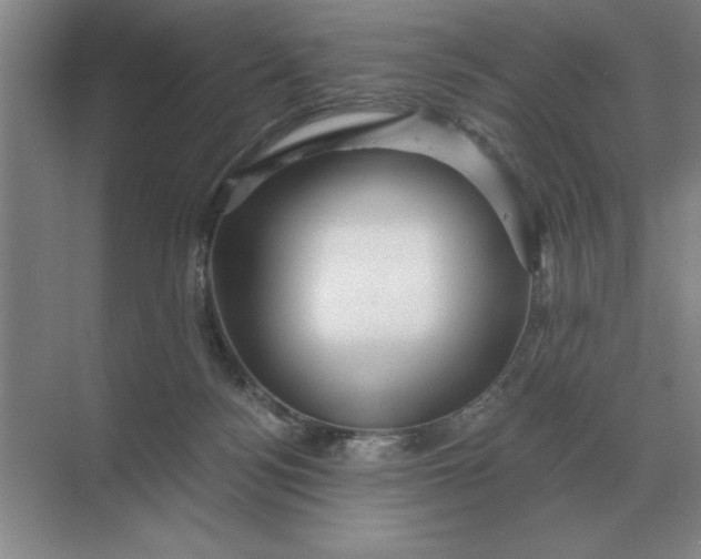 X0000068830172200605191908