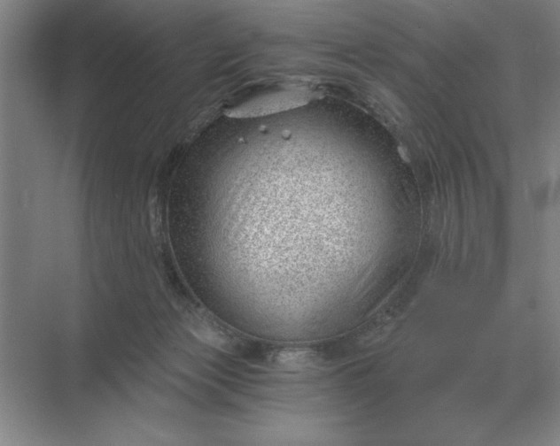 X0000068830173200605191908