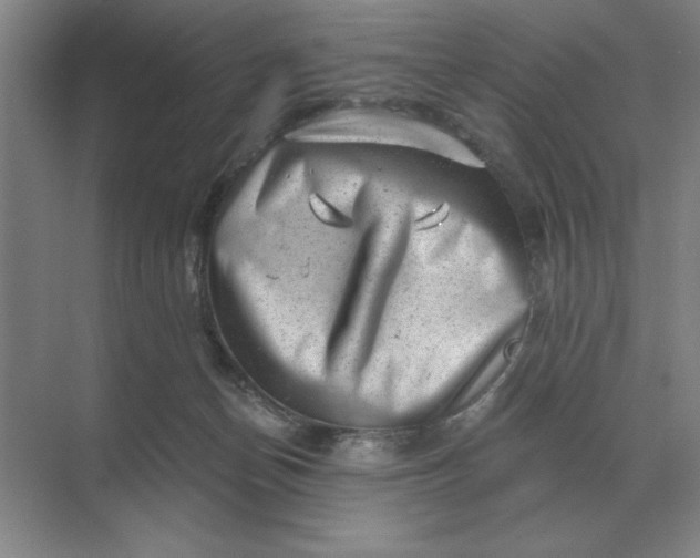 X0000068830174200605191908