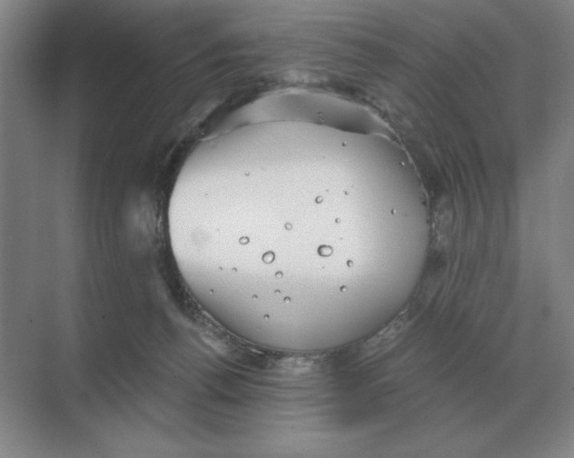 X0000068830176200605191908