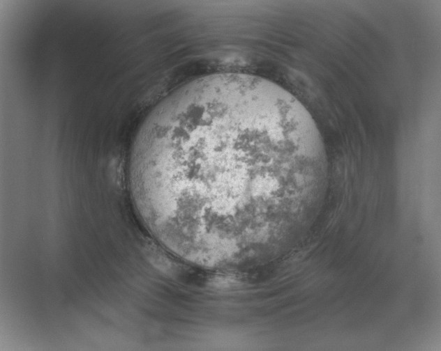 X0000068830177200605191908