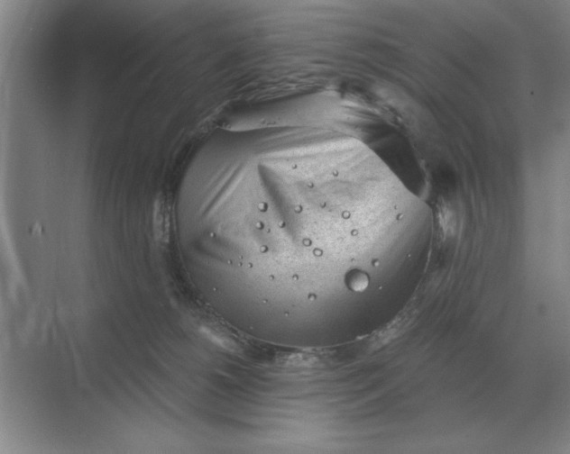 X0000068830180200605191908