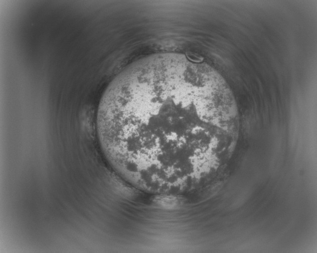 X0000068830181200605191908