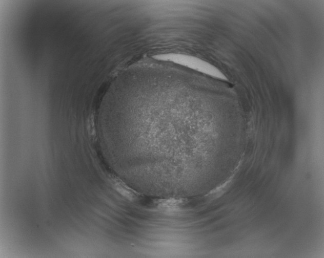 X0000068830182200605191908