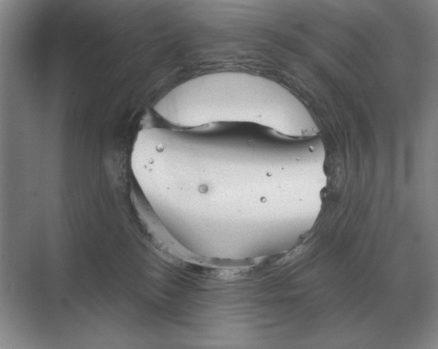 X0000068830184200605191908