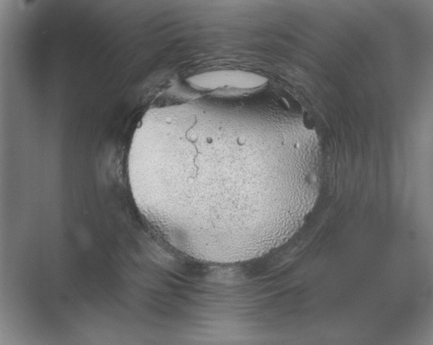 X0000068830185200605191908