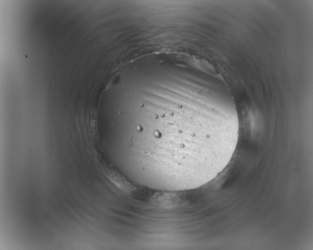 X0000068830186200605191908