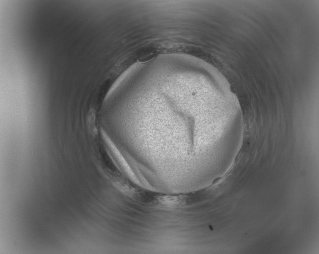 X0000068830187200605191908