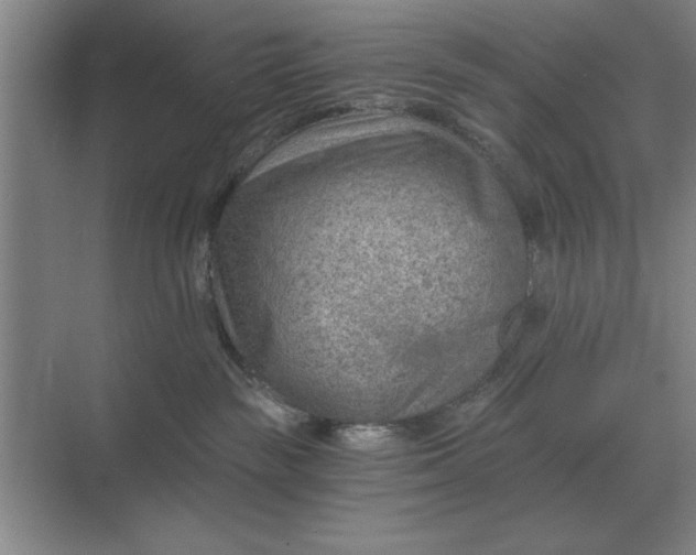 X0000068830189200605191908